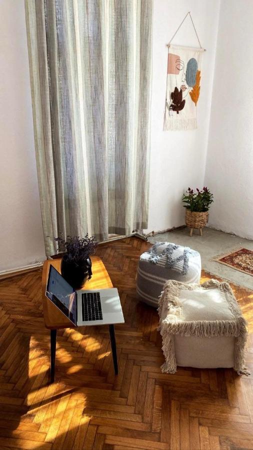 Apartament Istoric Ultracentral - With Parking シビウ エクステリア 写真